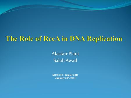 The Role of RecA in DNA Replication