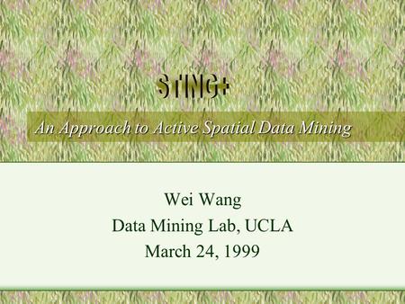 An Approach to Active Spatial Data Mining Wei Wang Data Mining Lab, UCLA March 24, 1999.