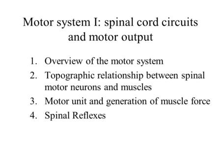 Motor system I: spinal cord circuits and motor output 1.Overview of the motor system 2.Topographic relationship between spinal motor neurons and muscles.