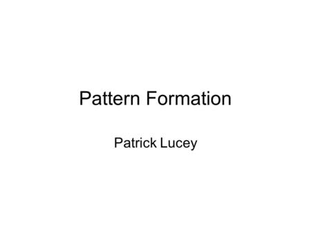 Pattern Formation Patrick Lucey.