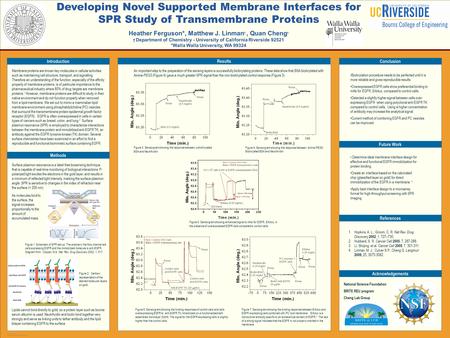 POSTER TEMPLATE BY: www.PosterPresentations.com Developing Novel Supported Membrane Interfaces for SPR Study of Transmembrane Proteins Heather Ferguson*,