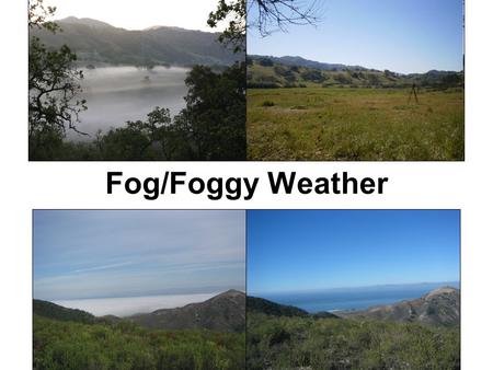 Fog/Foggy Weather. Overview Types of fog –Advection fog –Radiation fog –Upslope fog –Evaporation (mixing) fog –Steam fog Fog formation (1)by cooling…