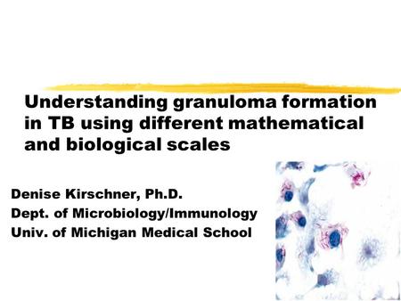 Understanding granuloma formation in TB using different mathematical and biological scales Denise Kirschner, Ph.D. Dept. of Microbiology/Immunology Univ.
