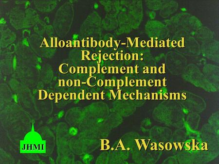 Alloantibody-Mediated Rejection: Complement and non-Complement Dependent Mechanisms B.A. Wasowska JHMI.