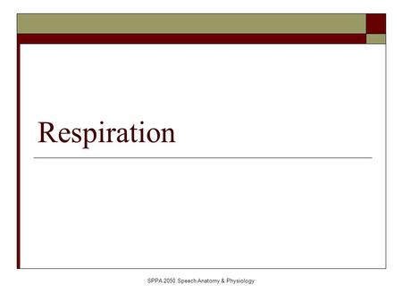 SPPA 2050 Speech Anatomy & Physiology Respiration.