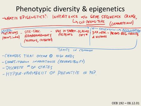 OEB 192 – 08.12.01 Phenotypic diversity & epigenetics.