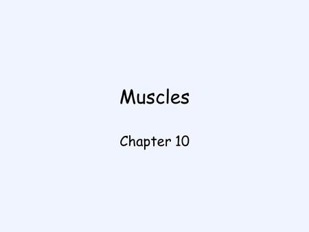 Muscles Chapter 10.