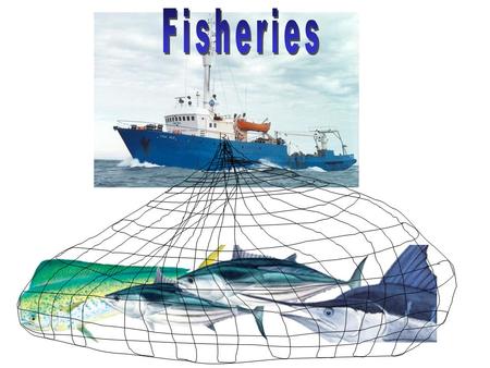 Fisheries.