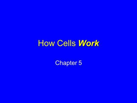 Work How Cells Work Chapter 5. Learning Objectives 1.Physics tells us that in any energy transformation: a) energy is neither created nor destroyed, and.