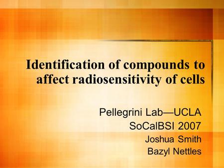 Identification of compounds to affect radiosensitivity of cells Pellegrini Lab—UCLA SoCalBSI 2007 Joshua Smith Bazyl Nettles.