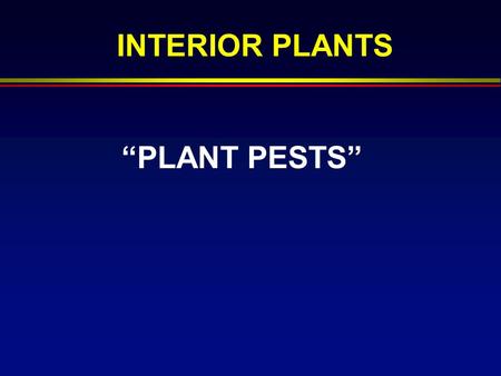 “PLANT PESTS” INTERIOR PLANTS. PREVENTION F Monitor Regularly F Sanitation F Supplier F Quarantine F Alter Conditions.