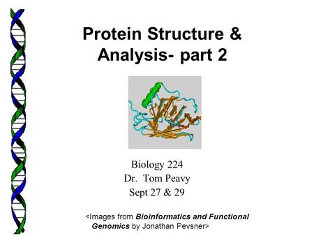 Biology 224 Dr. Tom Peavy Sept 27 & 29  Protein Structure & Analysis- part 2.