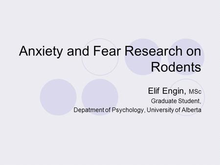 Anxiety and Fear Research on Rodents Elif Engin, MSc Graduate Student, Depatment of Psychology, University of Alberta.
