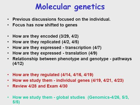 Molecular genetics Previous discussions focused on the individual. Focus has now shifted to genes How are they encoded (3/29, 4/2) How are they replicated.