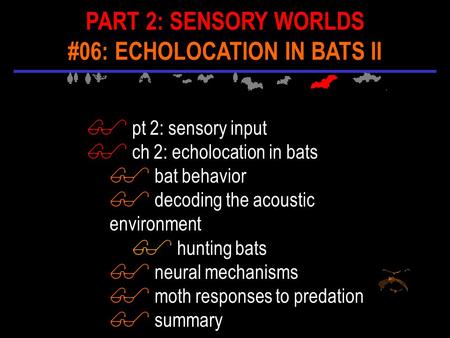 $ pt 2: sensory input $ ch 2: echolocation in bats $ bat behavior $ decoding the acoustic environment $ hunting bats $ neural mechanisms $ moth responses.