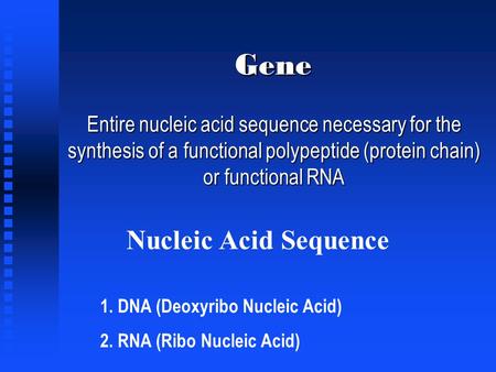 Gene Entire nucleic acid sequence necessary for the synthesis of a functional polypeptide (protein chain) or functional RNA Nucleic Acid Sequence 1. DNA.