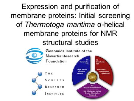 Expression and purification of membrane proteins: Initial screening of Thermotoga maritima α-helical membrane proteins for NMR structural studies This.