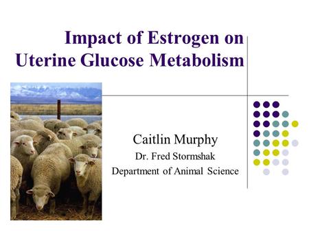 Impact of Estrogen on Uterine Glucose Metabolism Caitlin Murphy Dr. Fred Stormshak Department of Animal Science.