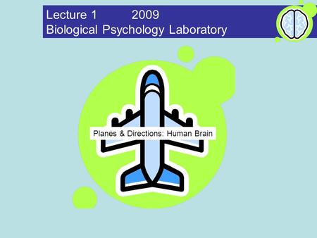 Planes & Directions: Human Brain Lecture 1 2009 Biological Psychology Laboratory.