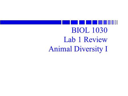 BIOL 1030 Lab 1 Review Animal Diversity I