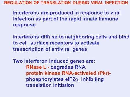REGULATION OF TRANSLATION DURING VIRAL INFECTION Interferons are produced in response to viral infection as part of the rapid innate immune response Interferons.