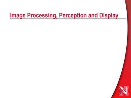 Image Processing, Perception and Display. Group Members Eyal Margalit (UNMC) Tim Baxter (UNMC) Balasubraniam Sajja (UNMC) Khalid Sayood (UNL) Carl Nelson.