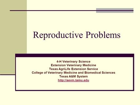 Reproductive Problems 4-H Veterinary Science Extension Veterinary Medicine Texas AgriLife Extension Service College of Veterinary Medicine and Biomedical.