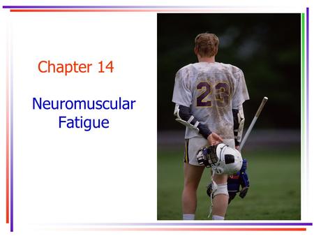 Chapter 14 Neuromuscular Fatigue. Key Concepts accumulation hypothesis central fatigue depletion hypothesis electromyography (EMG) electronic integrator.