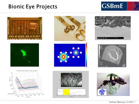 Cochlear Meeting 2/3/2007: 1 Bionic Eye Projects.