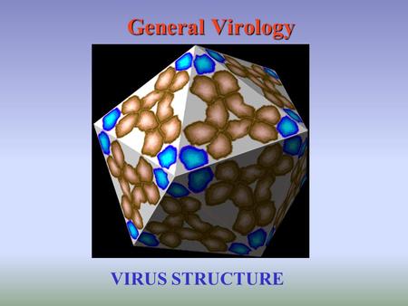 General Virology VIRUS STRUCTURE.