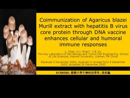Coimmunization of Agaricus blazei Murill extract with hepatitis B virus core protein through DNA vaccine enhances cellular and humoral immune responses.