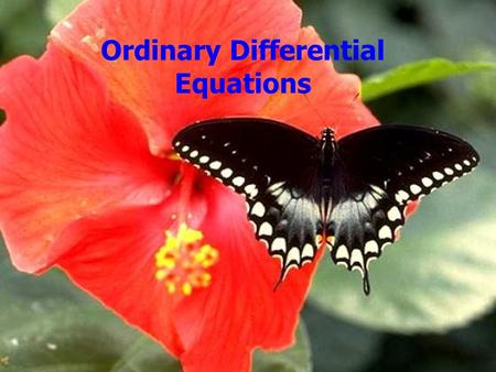 Ordinary Differential Equations. Outline Announcements: –Homework II: Solutions on web –Homework III: due Wed. by 5, by e-mail Homework II Differential.