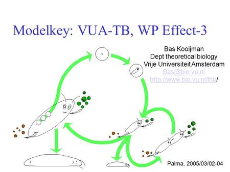Modelkey: VUA-TB, WP Effect-3 Bas Kooijman Dept theoretical biology Vrije Universiteit Amsterdam