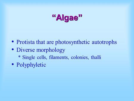 “Algae” Protista that are photosynthetic autotrophs Diverse morphology