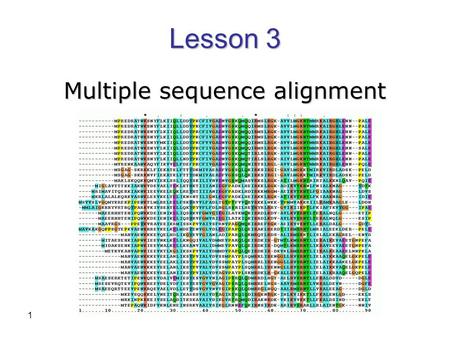 1 Multiple sequence alignment Lesson 3. 2 1. What is a multiple sequence alignment?