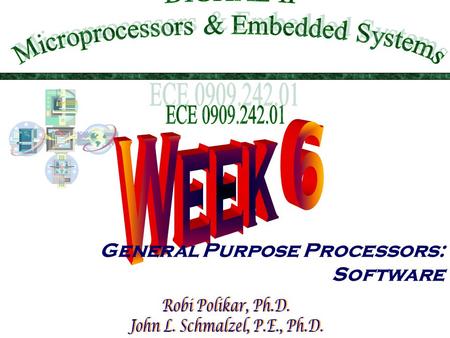 General Purpose Processors: Software This Week In DIG II  Introduction  Basic Architecture  Operation  Programmer’s view (that would be you !) 