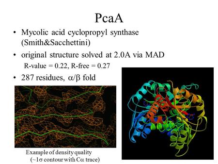 PcaA Mycolic acid cyclopropyl synthase (Smith&Sacchettini) original structure solved at 2.0A via MAD R-value = 0.22, R-free = 0.27 287 residues,  fold.