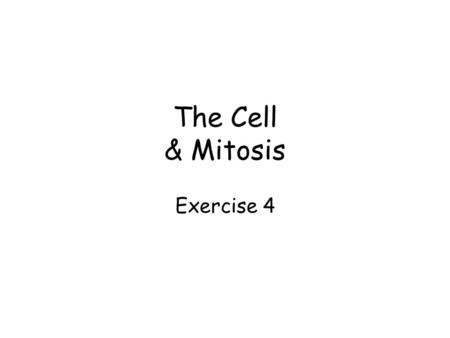 The Cell & Mitosis Exercise 4.