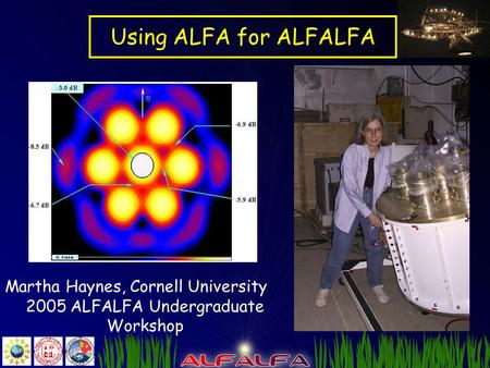 Using ALFA for ALFALFA Martha Haynes, Cornell University 2005 ALFALFA Undergraduate Workshop.