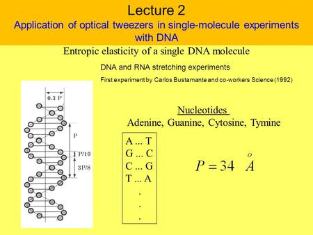 Lecture 2 Application of optical tweezers in single-molecule experiments with DNA DNA and RNA stretching experiments Entropic elasticity of a single DNA.