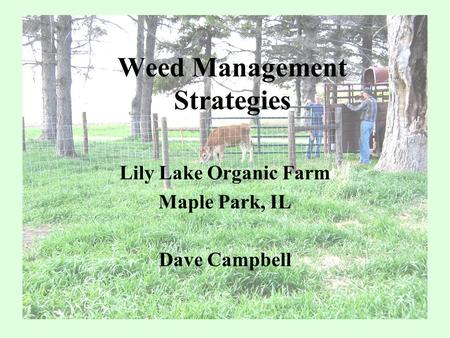 Weed Management Strategies Lily Lake Organic Farm Maple Park, IL Dave Campbell.
