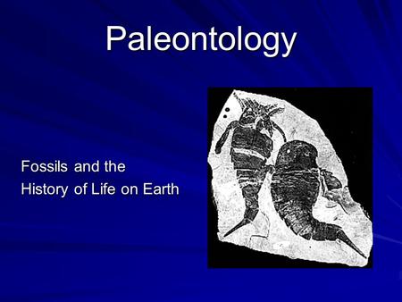 Paleontology Fossils and the History of Life on Earth.