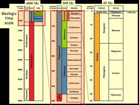 Geologic time scale  4600 My 600 My 65 My.