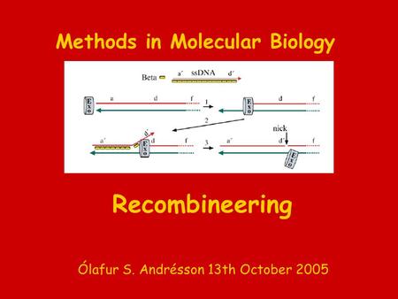 Methods in Molecular Biology Recombineering Ólafur S. Andrésson 13th October 2005.