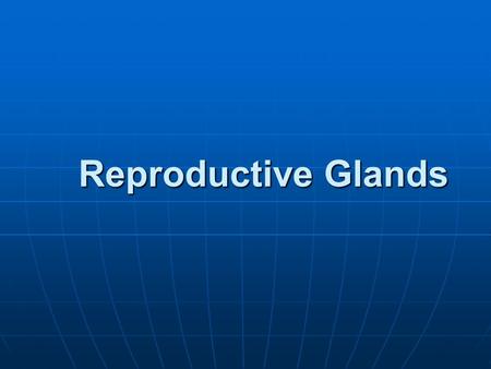 Reproductive Glands.