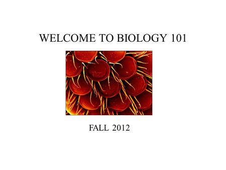 WELCOME TO BIOLOGY 101 FALL 2012. BIOLOGY 101 Introductions: My Background Contact Information: –Reagan Lake –Rm 454 (BS Bldg) –