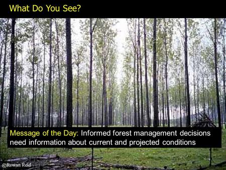 What Do You See? Message of the Day: Informed forest management decisions need information about current and projected conditions.