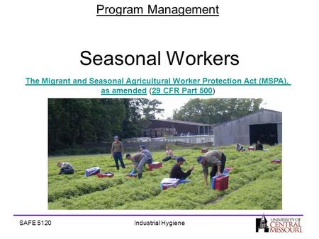 Program Management SAFE 5120Industrial Hygiene Seasonal Workers The Migrant and Seasonal Agricultural Worker Protection Act (MSPA), as amendedThe Migrant.