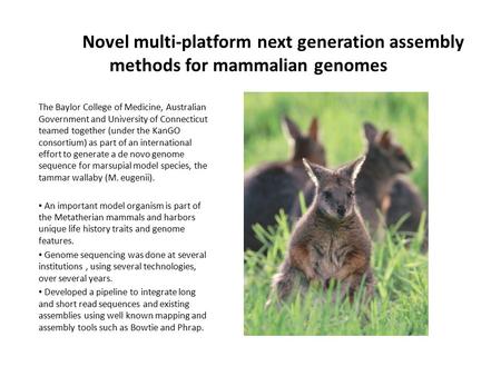Novel multi-platform next generation assembly methods for mammalian genomes The Baylor College of Medicine, Australian Government and University of Connecticut.