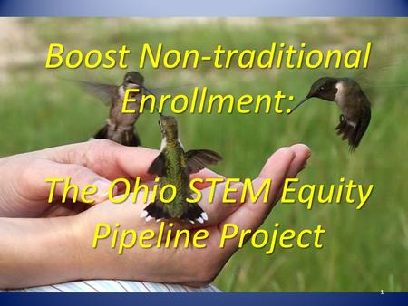 Boost Non-traditional Enrollment: The Ohio STEM Equity Pipeline Project 1.